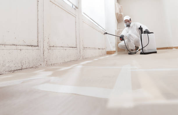 24/7 Emergency Black Mold Remediation experts in Oak Ridge, FL