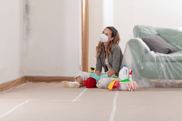 Reliable Black Mold Remediation contractor in Oak Ridge, FL by Car Mold Remediation